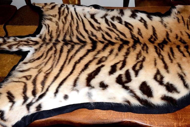 Tiger Carpet with Real Bengal Tiger Skin For Sale at 1stdibs