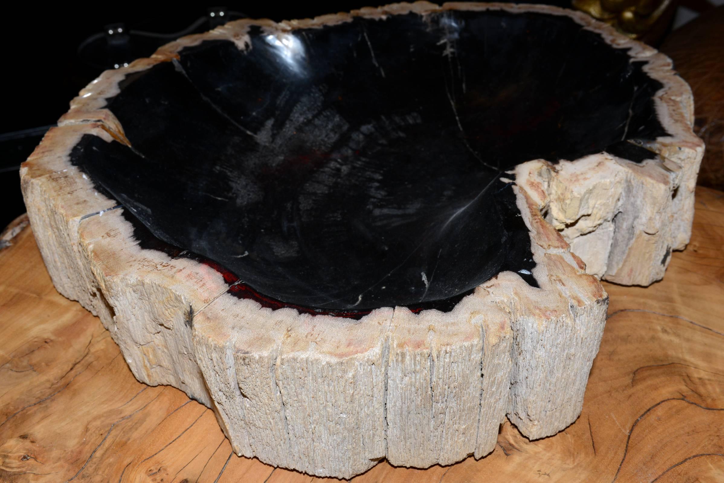 Petrified Wood A  In Excellent Condition In Paris, FR