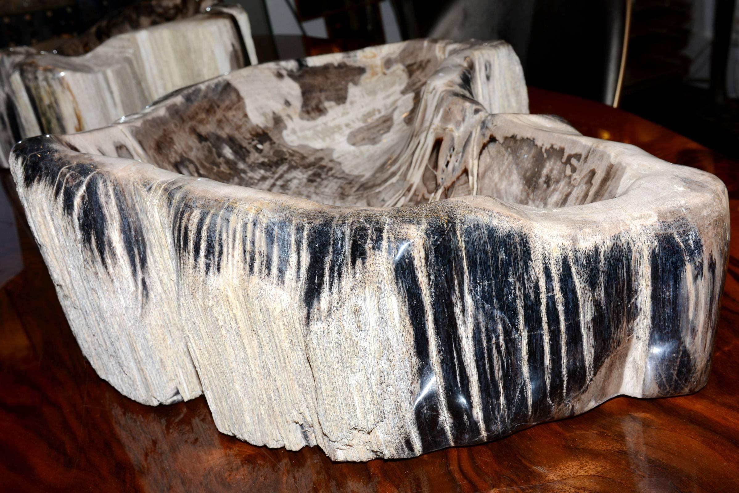 Contemporary Ashtray in Petrified Wood Large