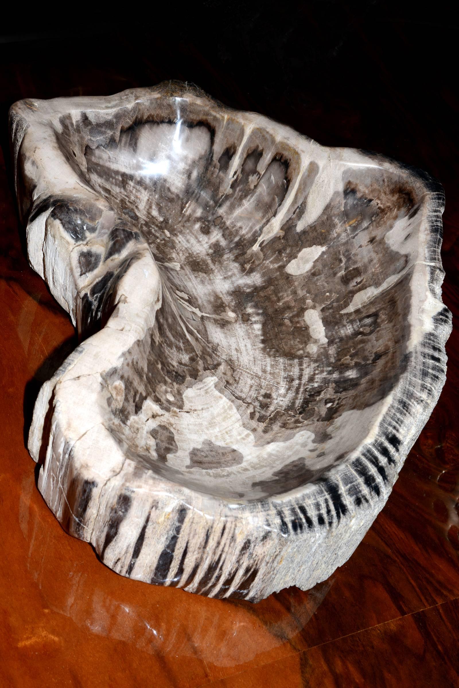 Ashtray in Petrified Wood Large In Excellent Condition In Paris, FR