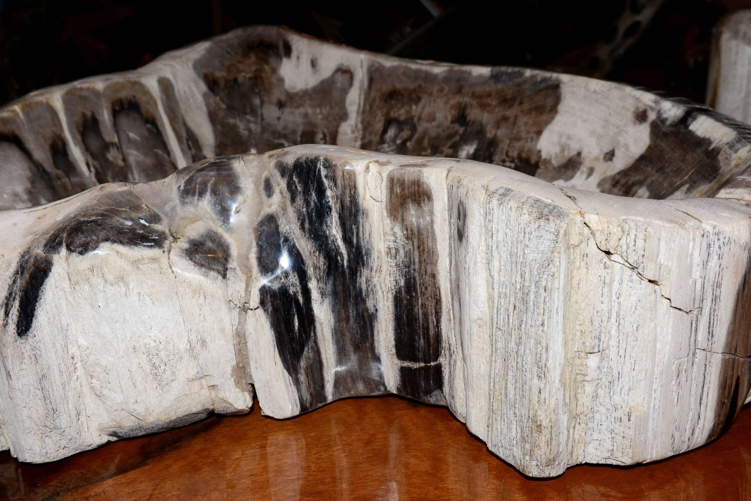 Ashtray in Petrified Wood Large 1