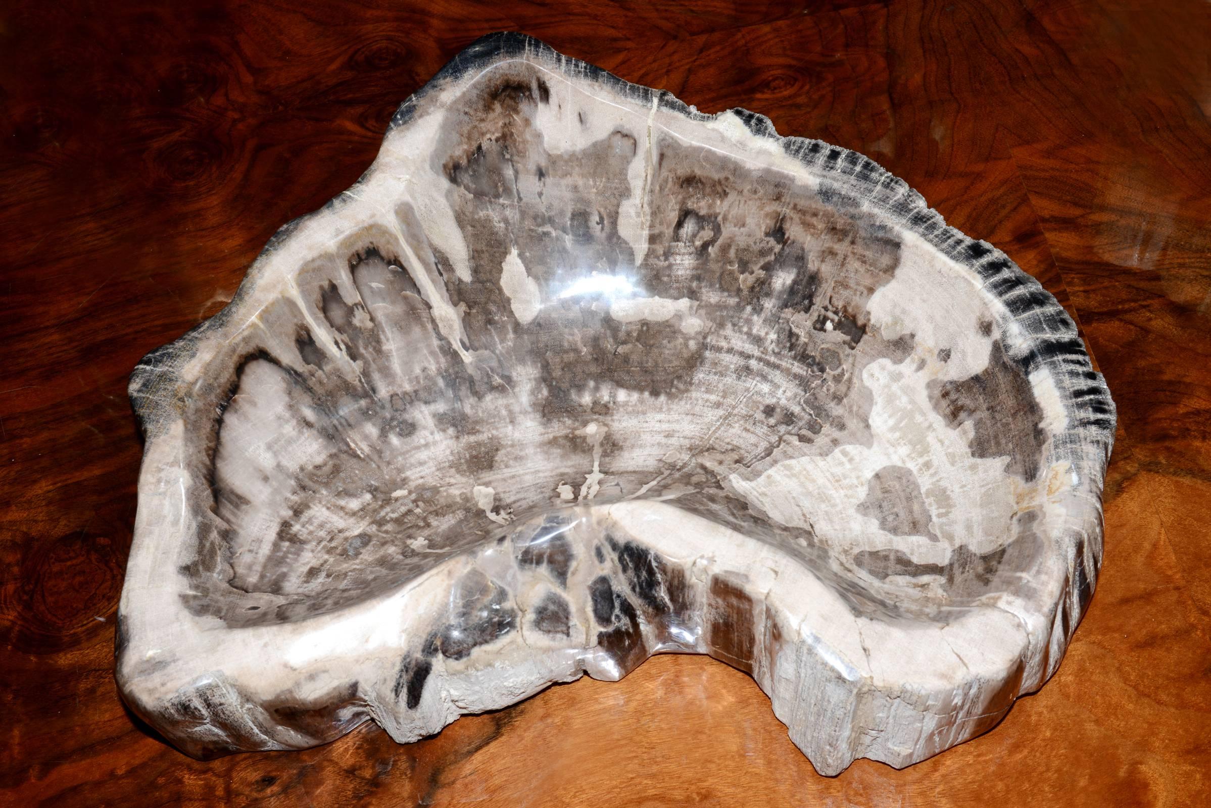 Indonesian Ashtray in Petrified Wood Large