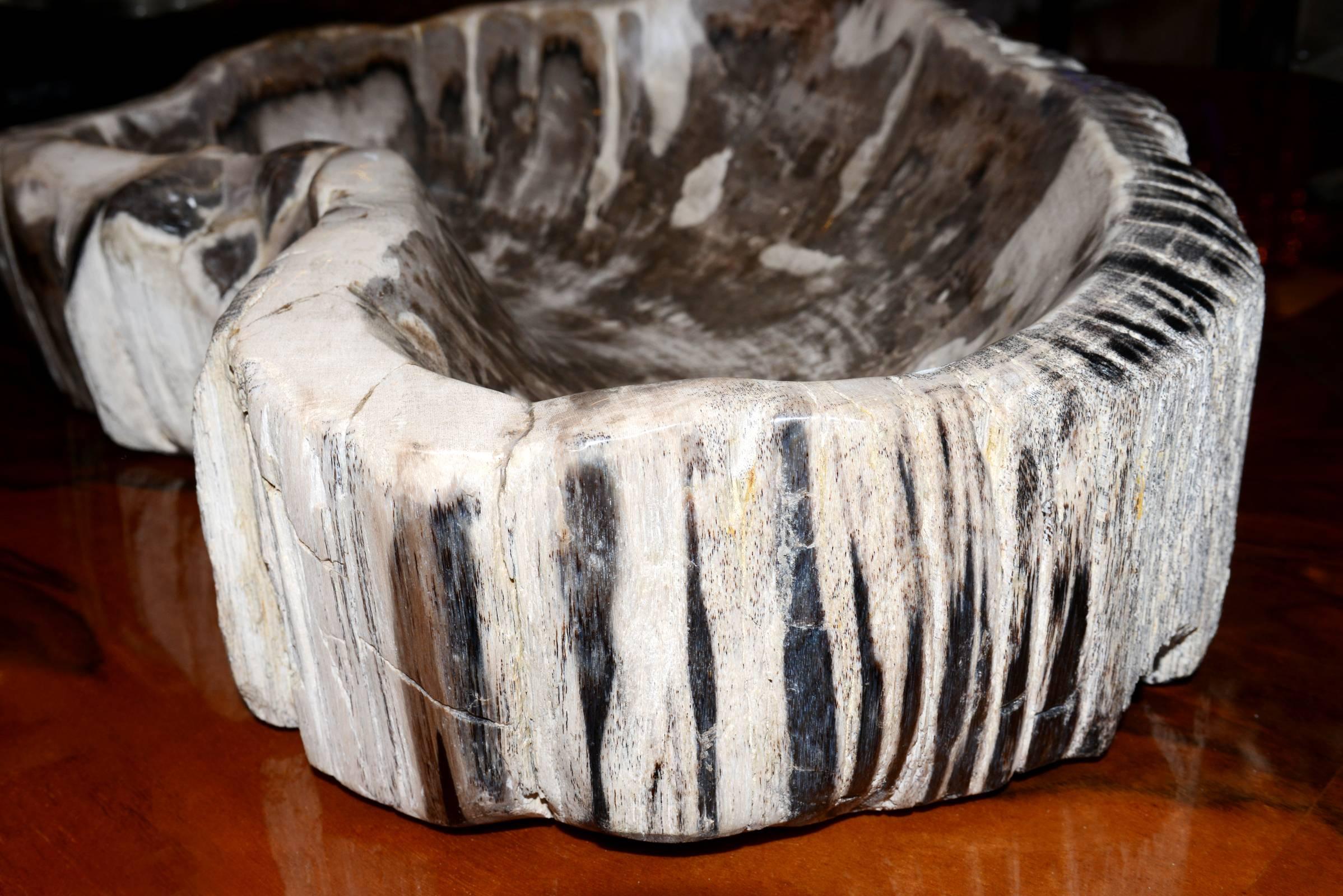 Ashtray in Petrified Wood Large 3