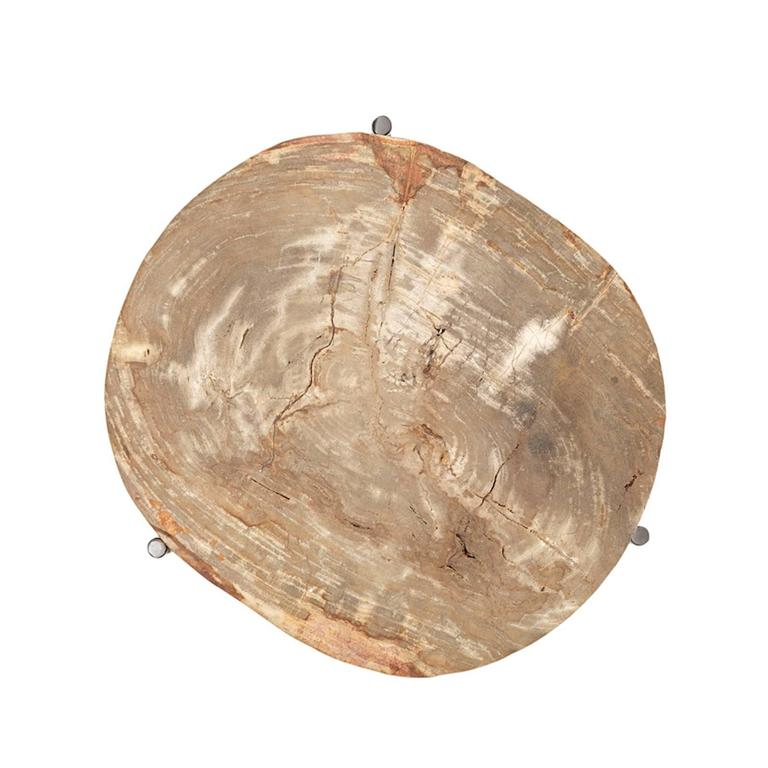 Times Side Table in Petrified Wood on Black Nickel Base For Sale at 1stDibs