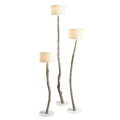 Driftwood Floor Lamps Set of Three in Natural Driftwood