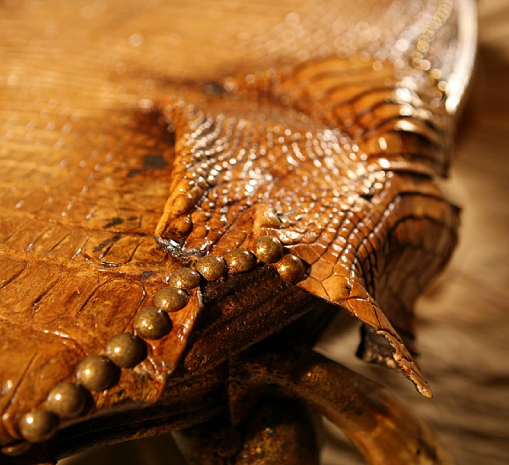 French Cayman Coffee Table with Alligator Skin and Zebu Horns For Sale