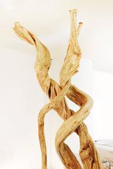 Liana Sculpture from Mangrove Swamp on Led Lighted Black Base