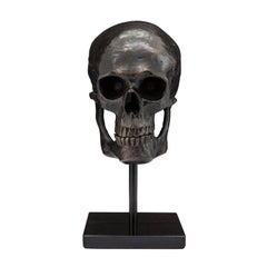 Skull Sculpture in Antique Black Brass Style