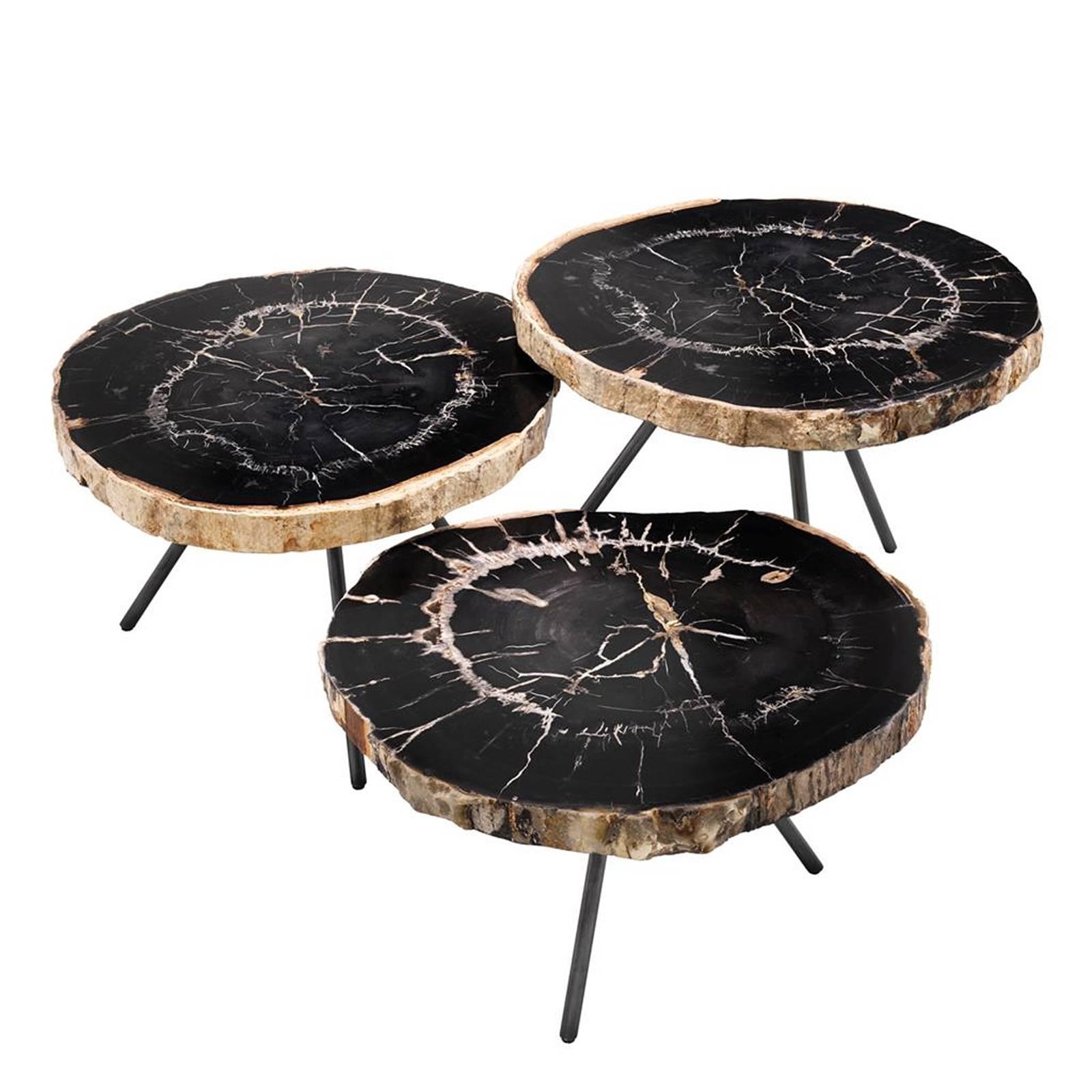 Coffee Table Petrified Wood Dark Slices Set of 3.
On bronze finish base. Each top is unique and
exceptional piece from Indonesia.
Measure: 
A/L 64 x D 50 x H 50 cm.
B/L 64 x D 50 x H 43cm.
C/L 64 x D 50 x H 36 cm.
  