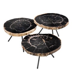 Petrified Wood Dark Slices Set of 3 Coffee Table