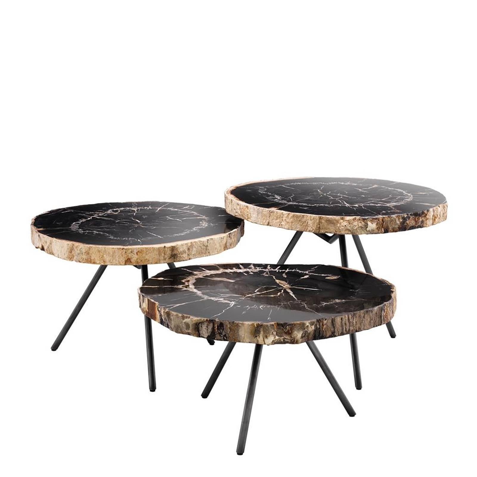 table basse en bois fossilise