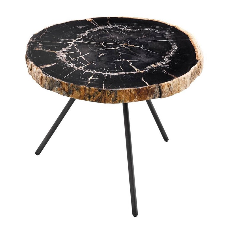 Petrified Wood Slices Set of Three Coffee Table For Sale at 1stDibs