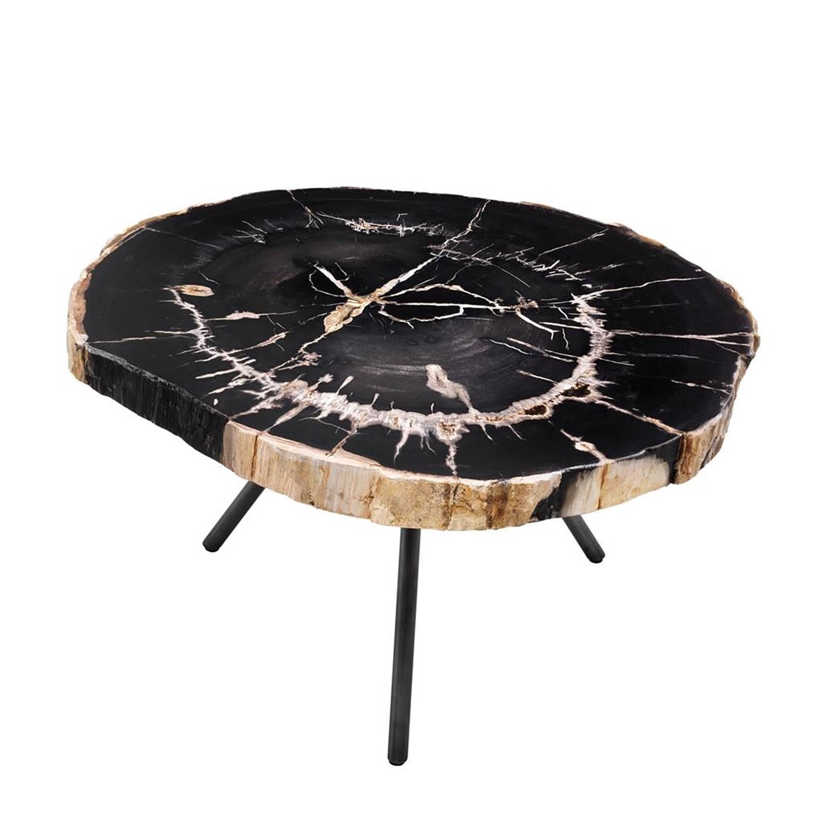 Indonesian Petrified Wood Dark Slices Set of 3 Coffee Table For Sale