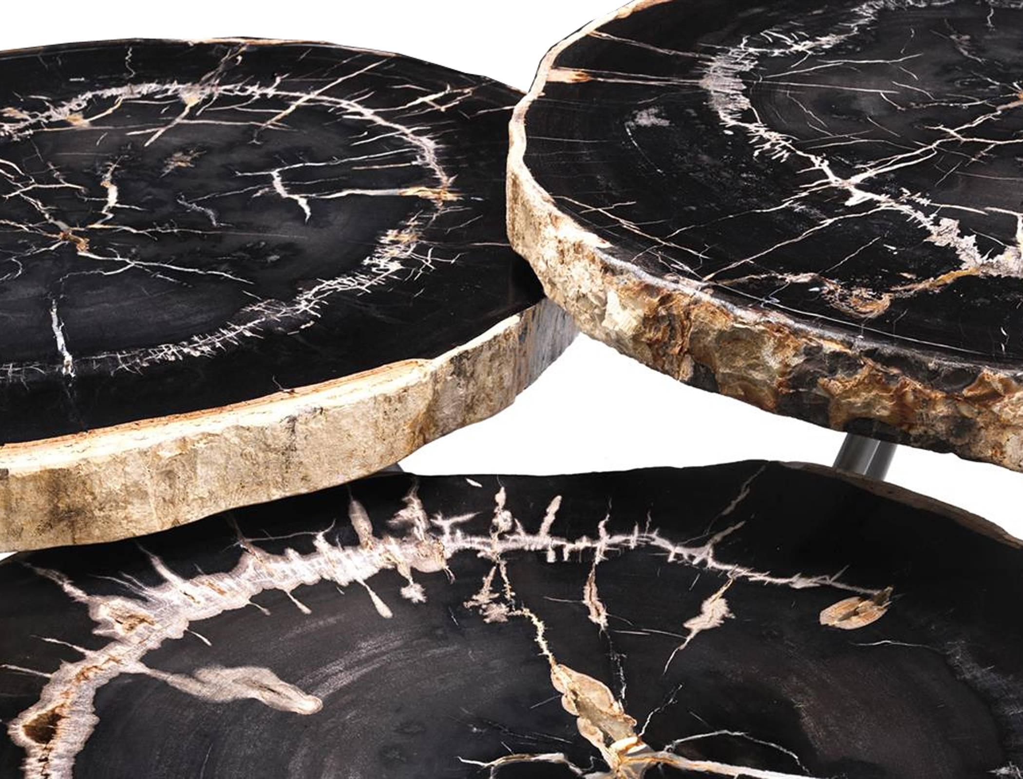 Petrified Wood Dark Slices Set of 3 Coffee Table In Excellent Condition For Sale In Paris, FR