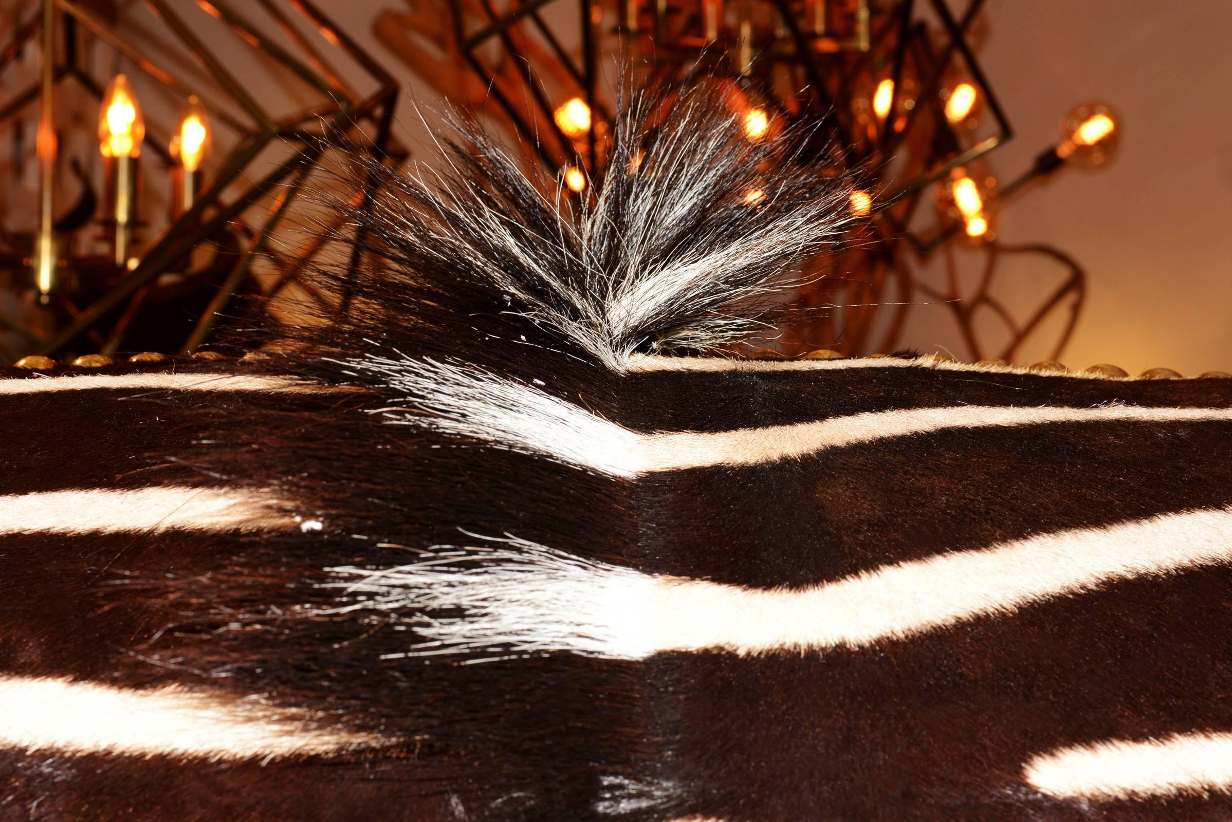 Grand Zebra Two-Seat Sofa with Zebra Skin and Real Horns 3