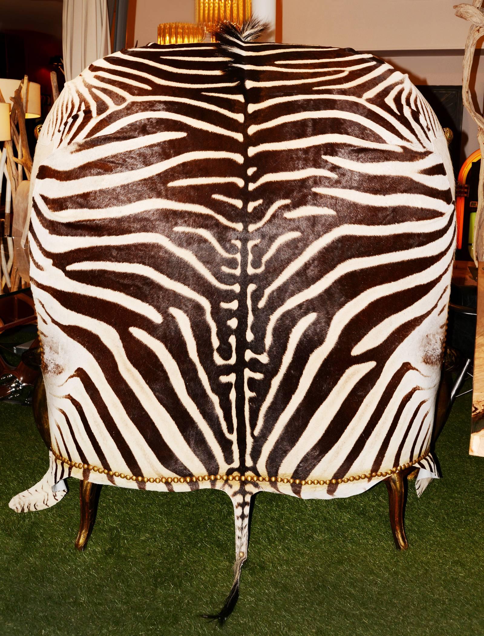 Contemporary Grand Zebra Two-Seat Sofa with Zebra Skin and Real Horns