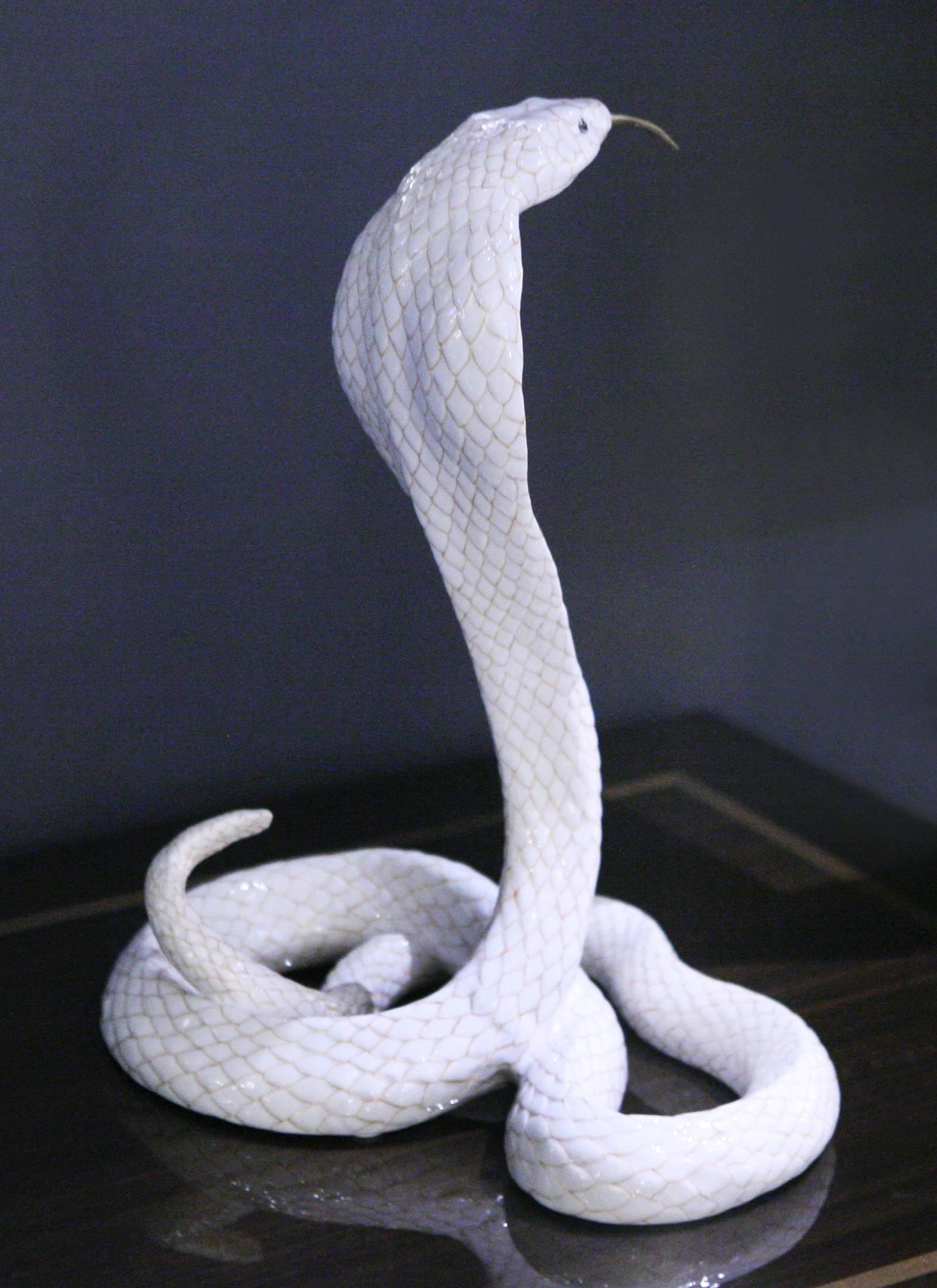 Unknown Cobra Sculpture in Porcelain, 2017