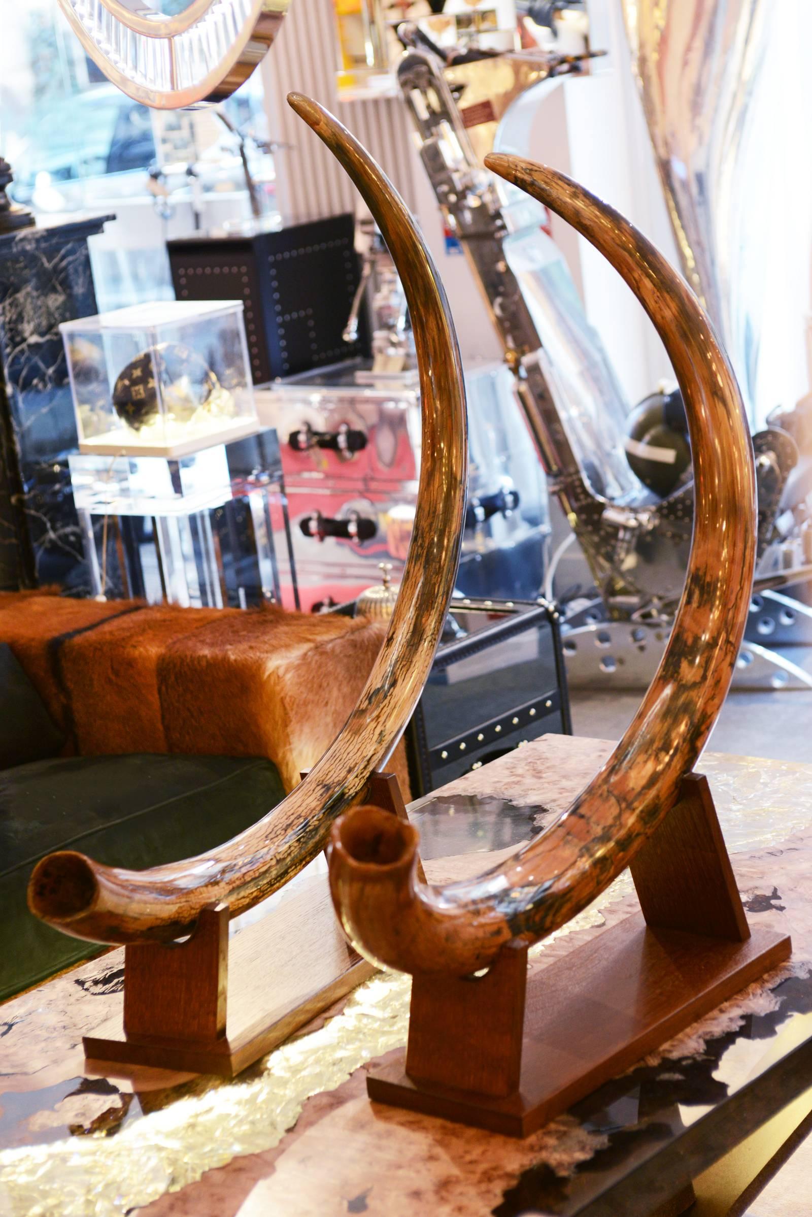 Mammoth Tusks from Siberia Set of Two In Excellent Condition In Paris, FR