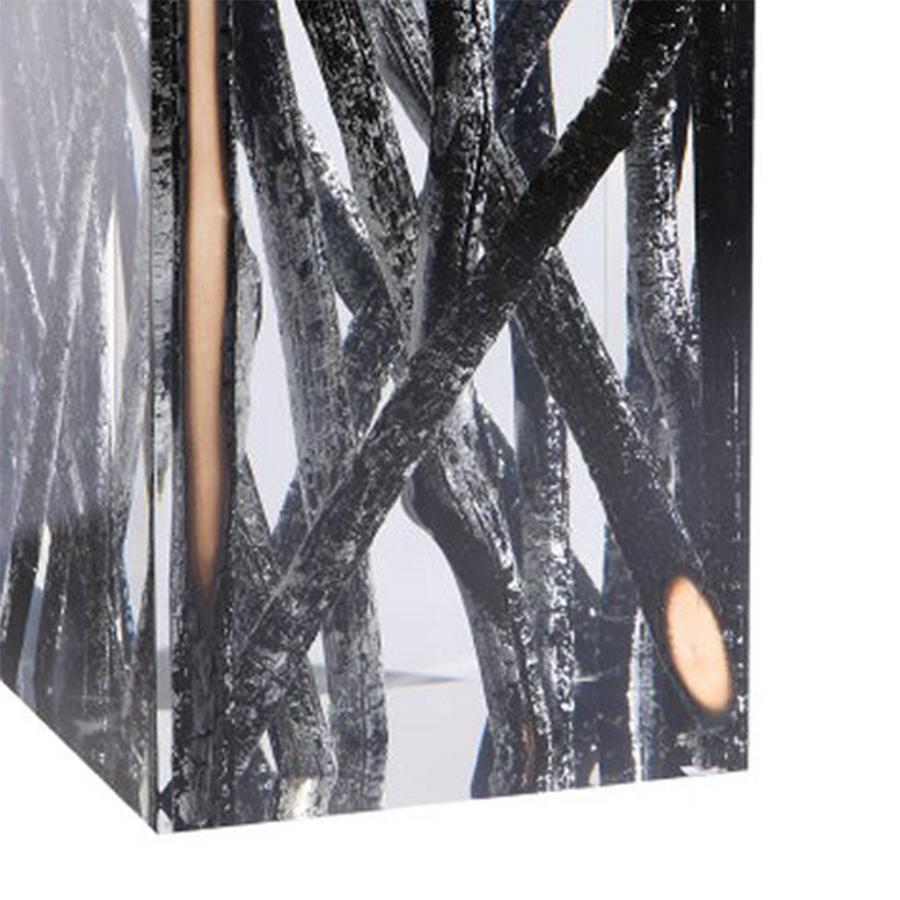 XXIe siècle et contemporain Table d'appoint en verre acrylique et bois brûlé en vente