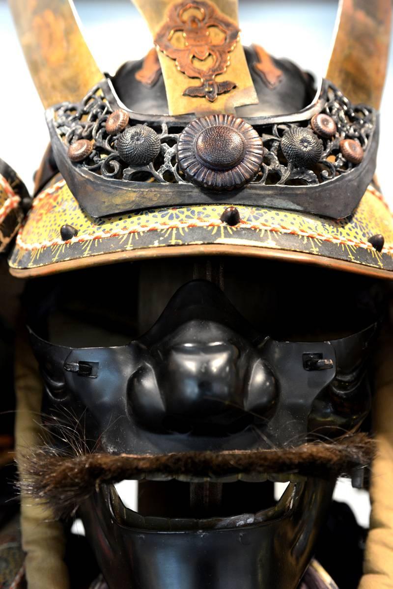 Samurai armor under a glass box with LED lighting,
Taisho Era, from Japan.
