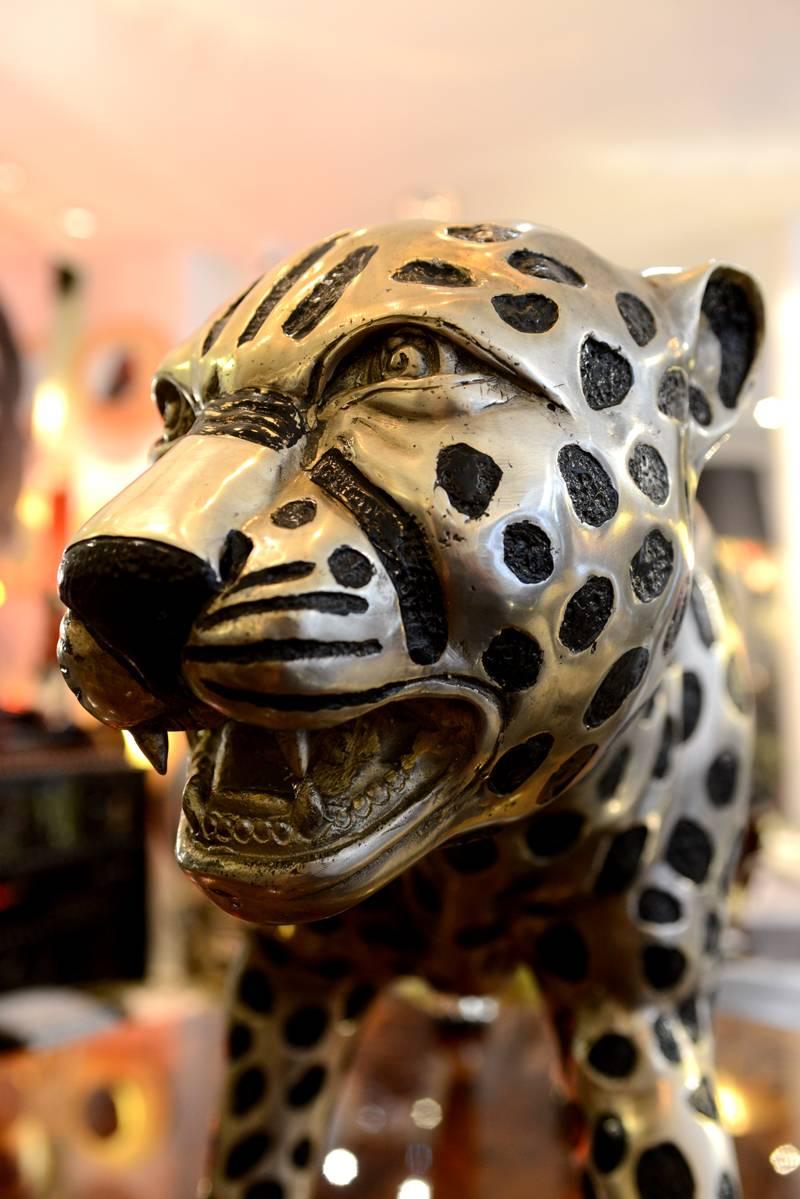French Cheetah in Black and Silvered Bronze