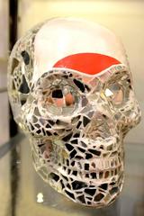 Sculpture Artist Proof Skull Vanity