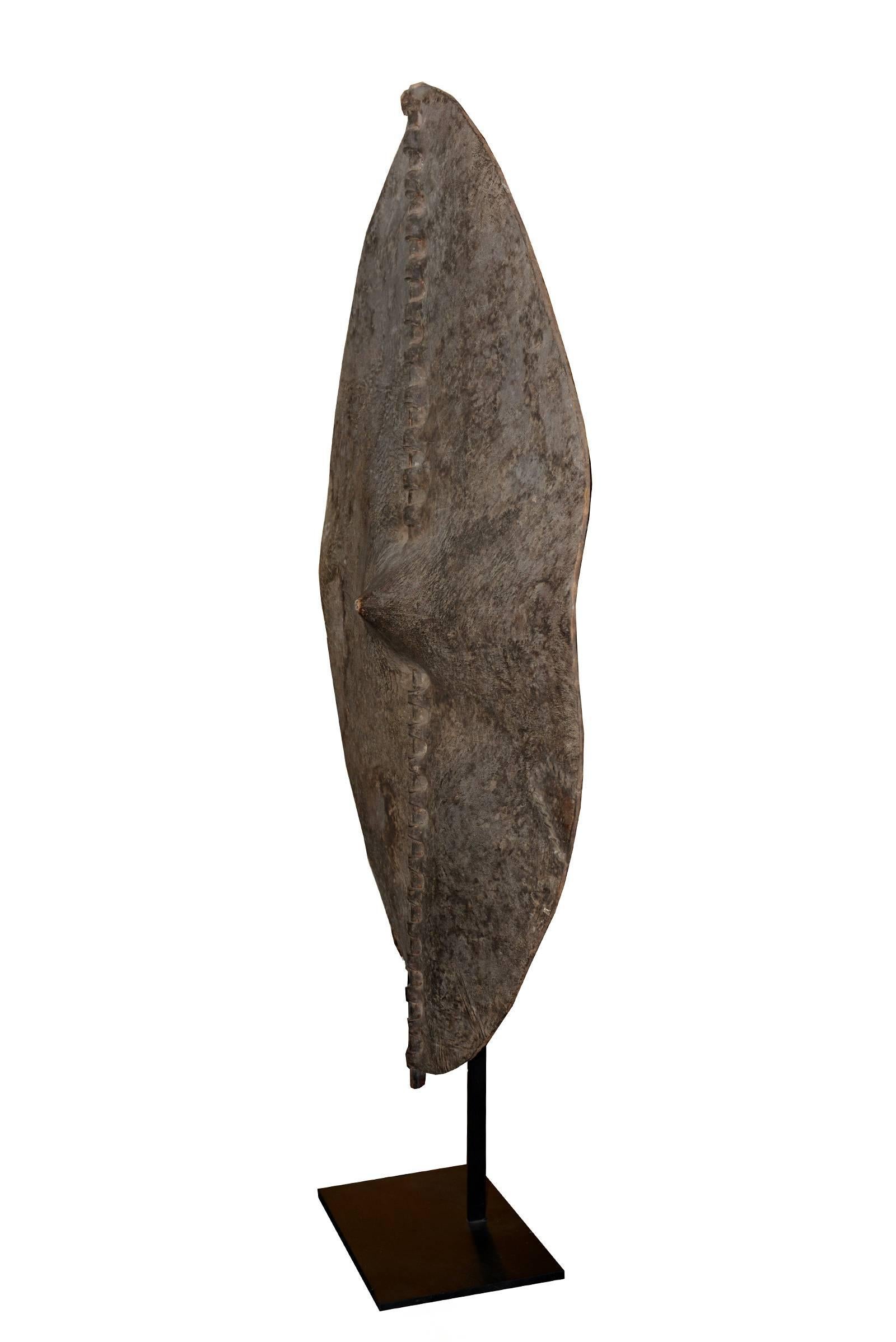 African Shield Dinka from South Sudan, early 20th century.
Base: 28 x 22 cm.
