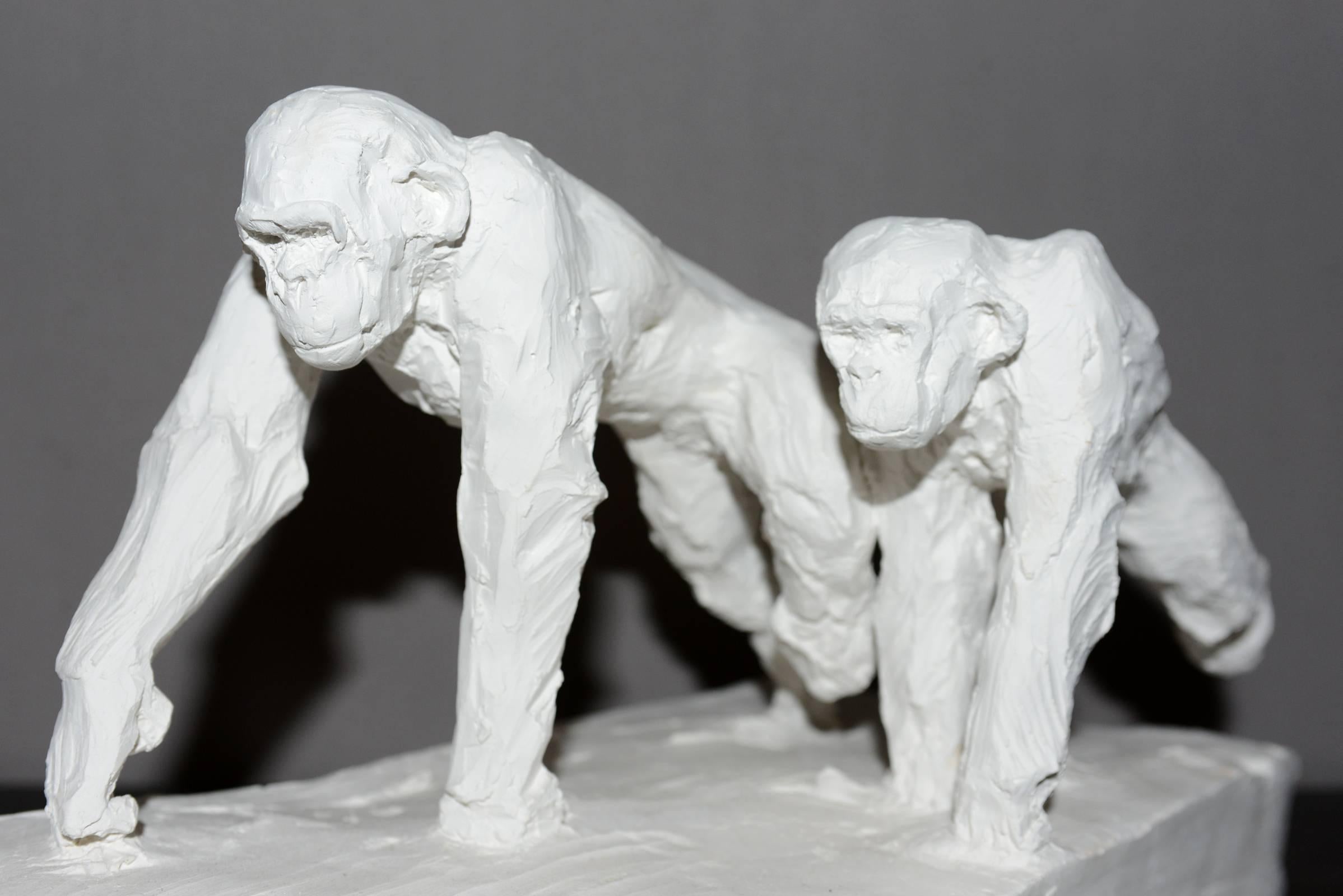 Sculpture double chimpanzee in plaster.
Limited and numerated edition 30/50.
Made in France By J.B Vandame in 2015.
.
   