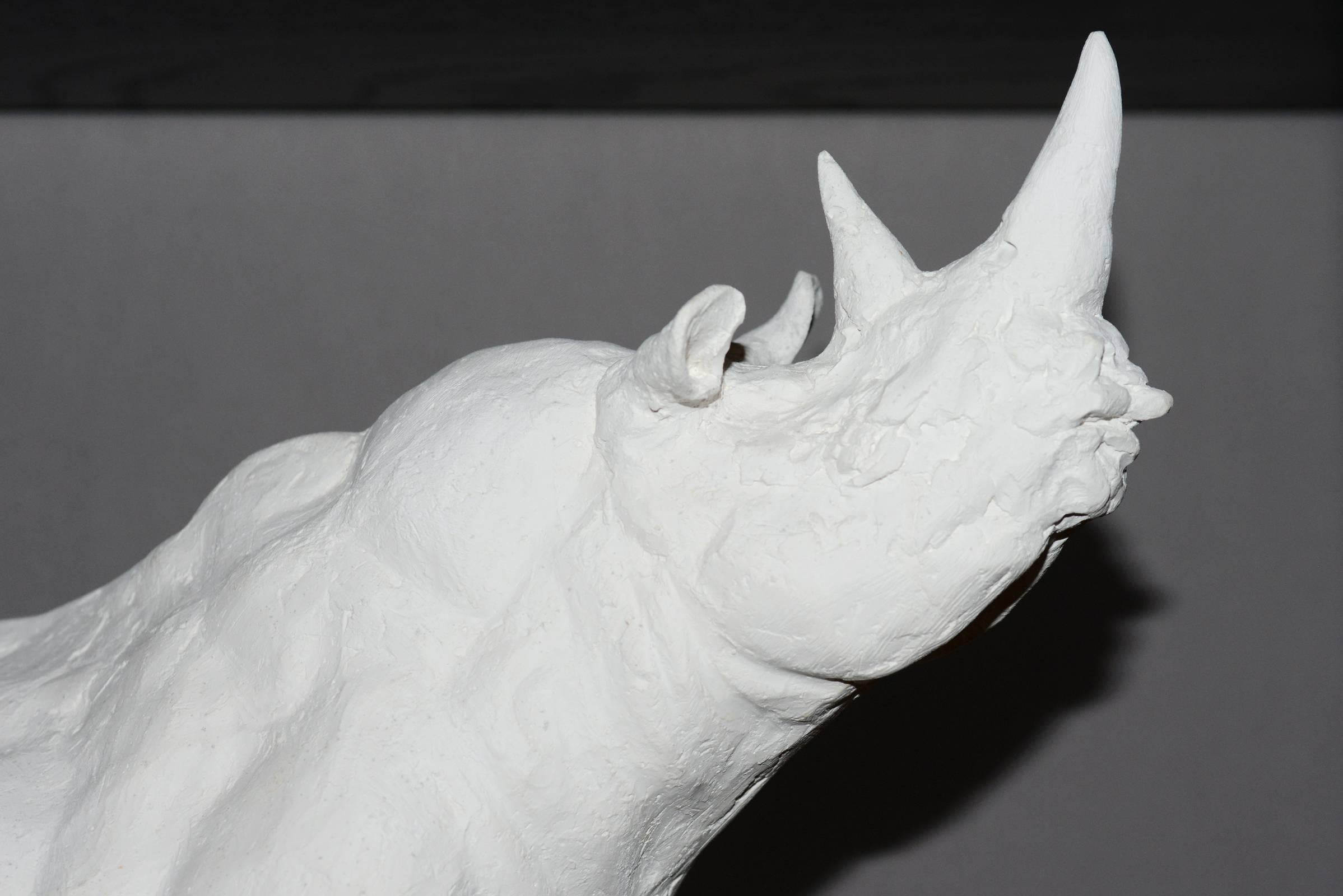 XXIe siècle et contemporain Sculpture Rhinoceros en plâtre Édition limitée 45/100 de J.B Vandame, 2015 en vente