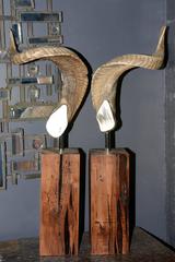 Aries Horns Set of Two on Noble Wood Base