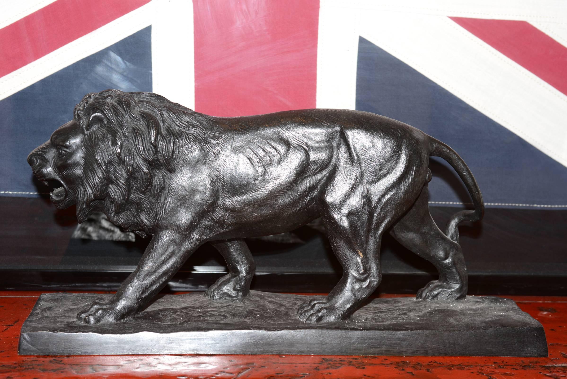 Sculpture lion in solid bronze black finish.
