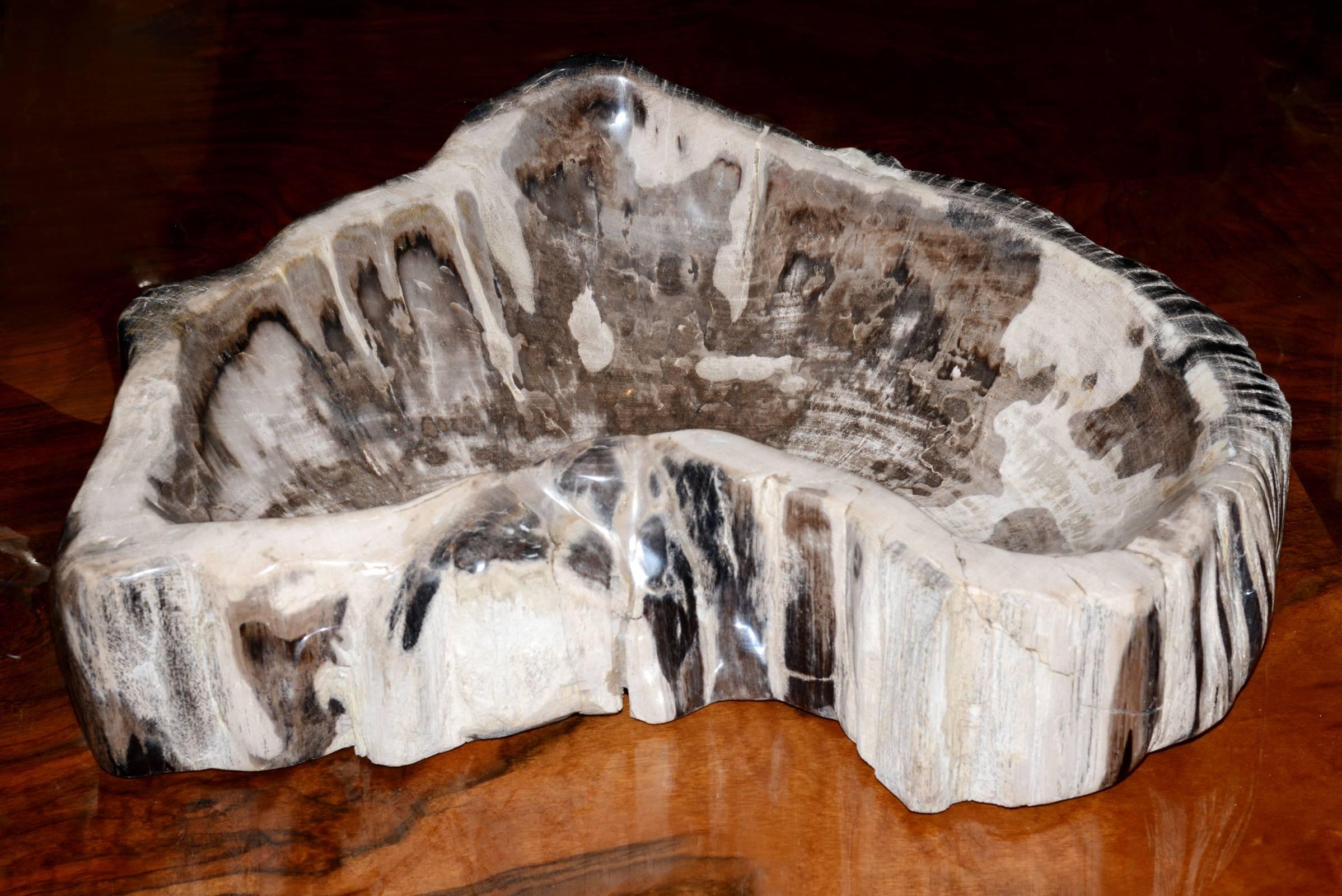 Ashtray Large in petrified wood from Indonesia.
Authentic 15th century petrified wood.
Measure: Weight 24kg.
