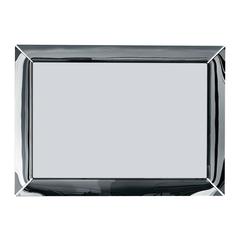 Mirror Art Frame Floor or Wall Mirror or TV Mirror Designed by Starck 11