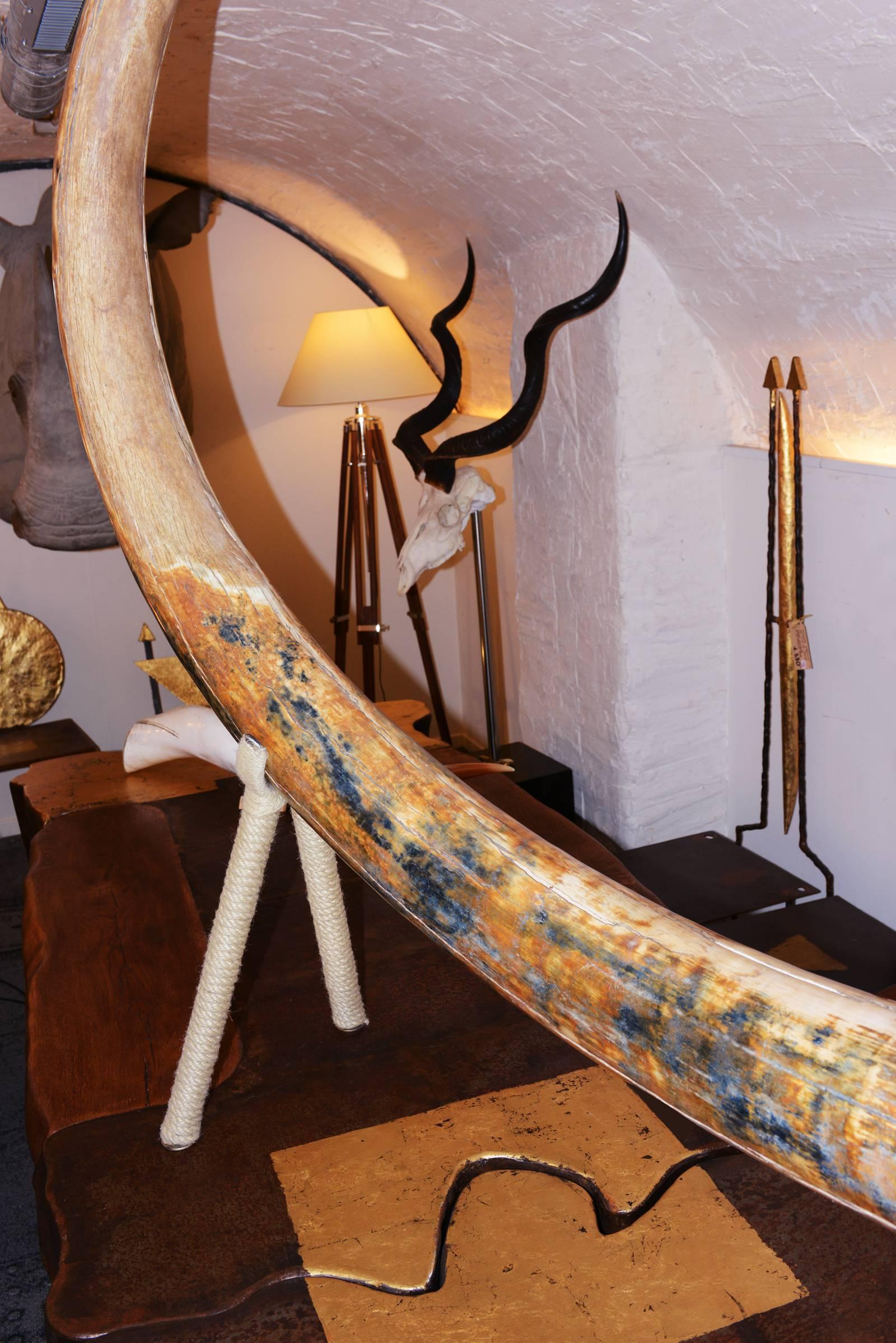 Mammoth Tusk from Siberia In Excellent Condition In Paris, FR