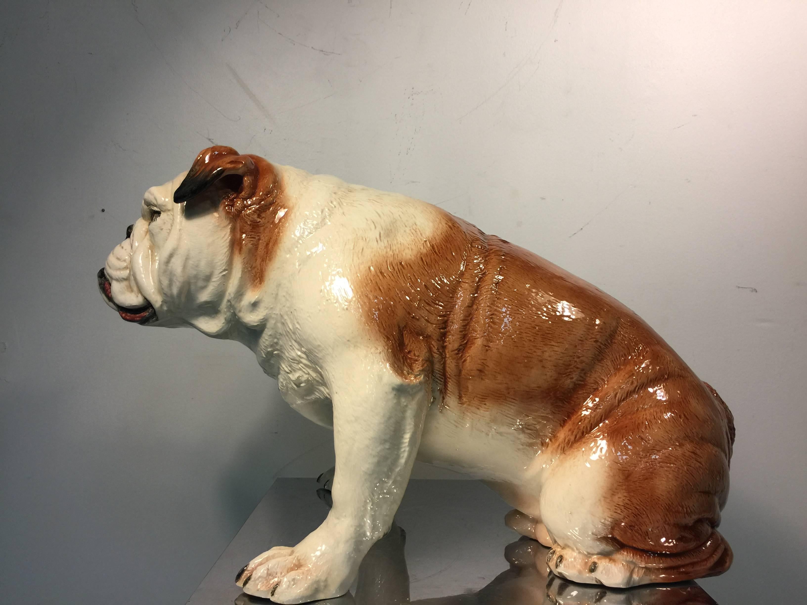 Modern Wonderful Lifelike Italian Ceramic Sculpture of an English Bulldog For Sale