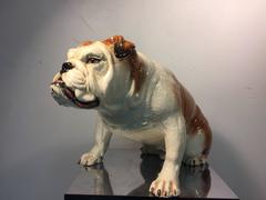 Wonderful Lifelike Italian Ceramic Sculpture of an English Bulldog
