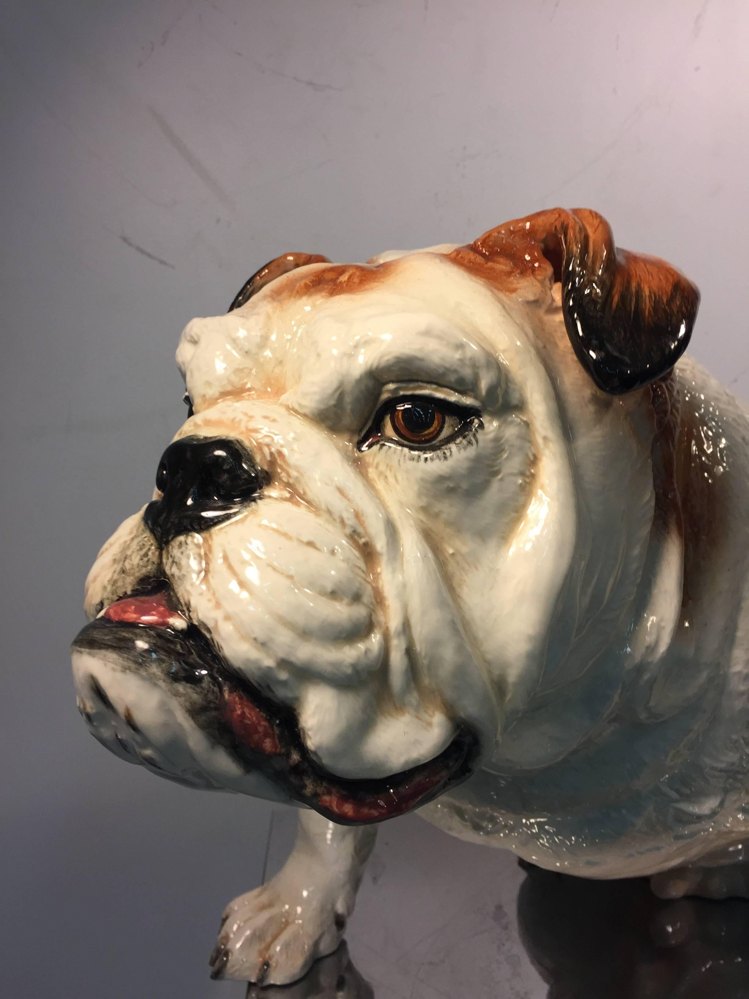 Wonderful Lifelike Italian Ceramic Sculpture of an English Bulldog In Good Condition For Sale In Mount Penn, PA