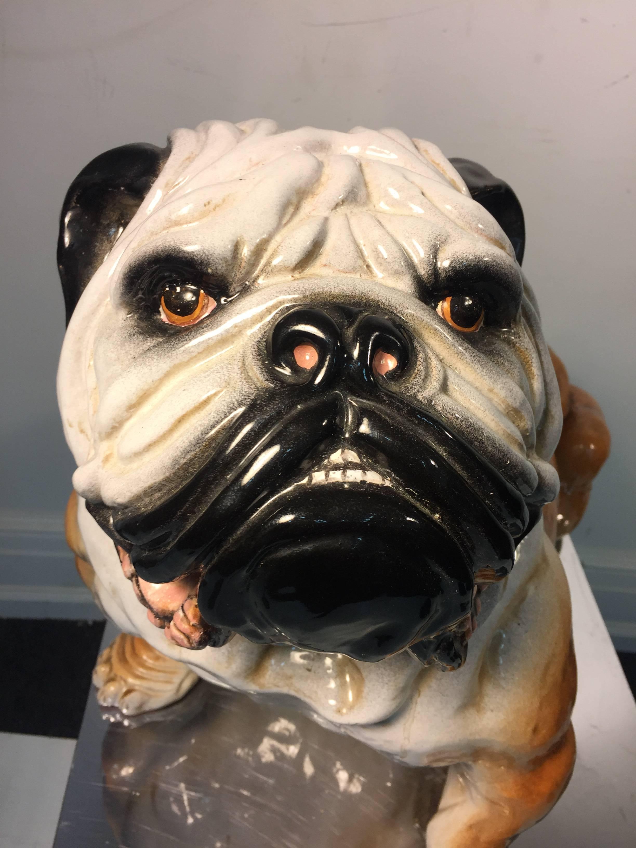A whimsical, Italian, ceramic English bulldog sculpture with stout, wrinkly body, undershot jaw, and broad head, circa 1970.
