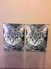 Great Pair of Piero Fornasetti Cat Face Bookends