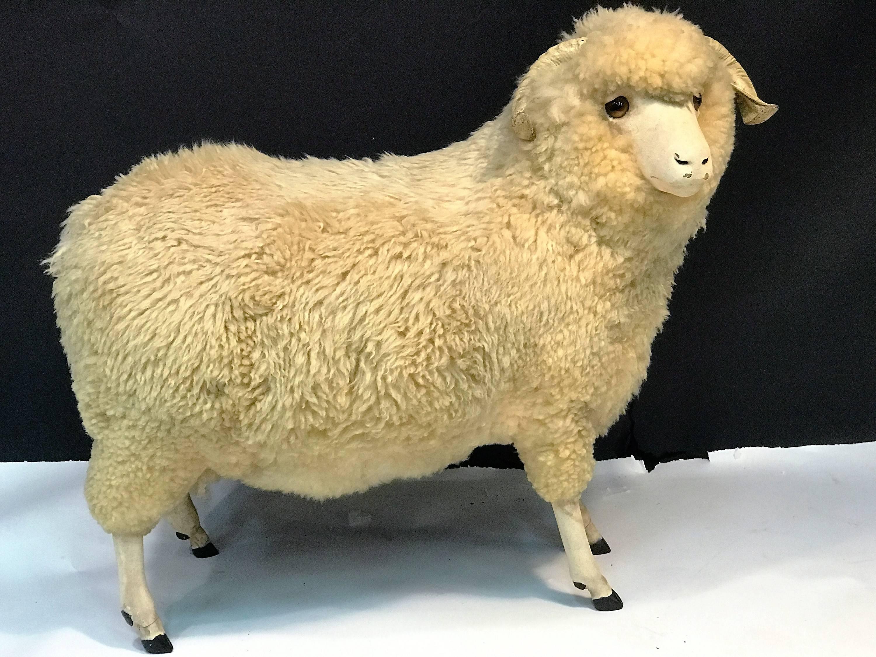 Wood form ram sculpture covered in real rams wool composed of a Composite face with glass eyes and faux horns. A great lifesize sculpture made in the 1940s. This ram could also be used as a ottoman.