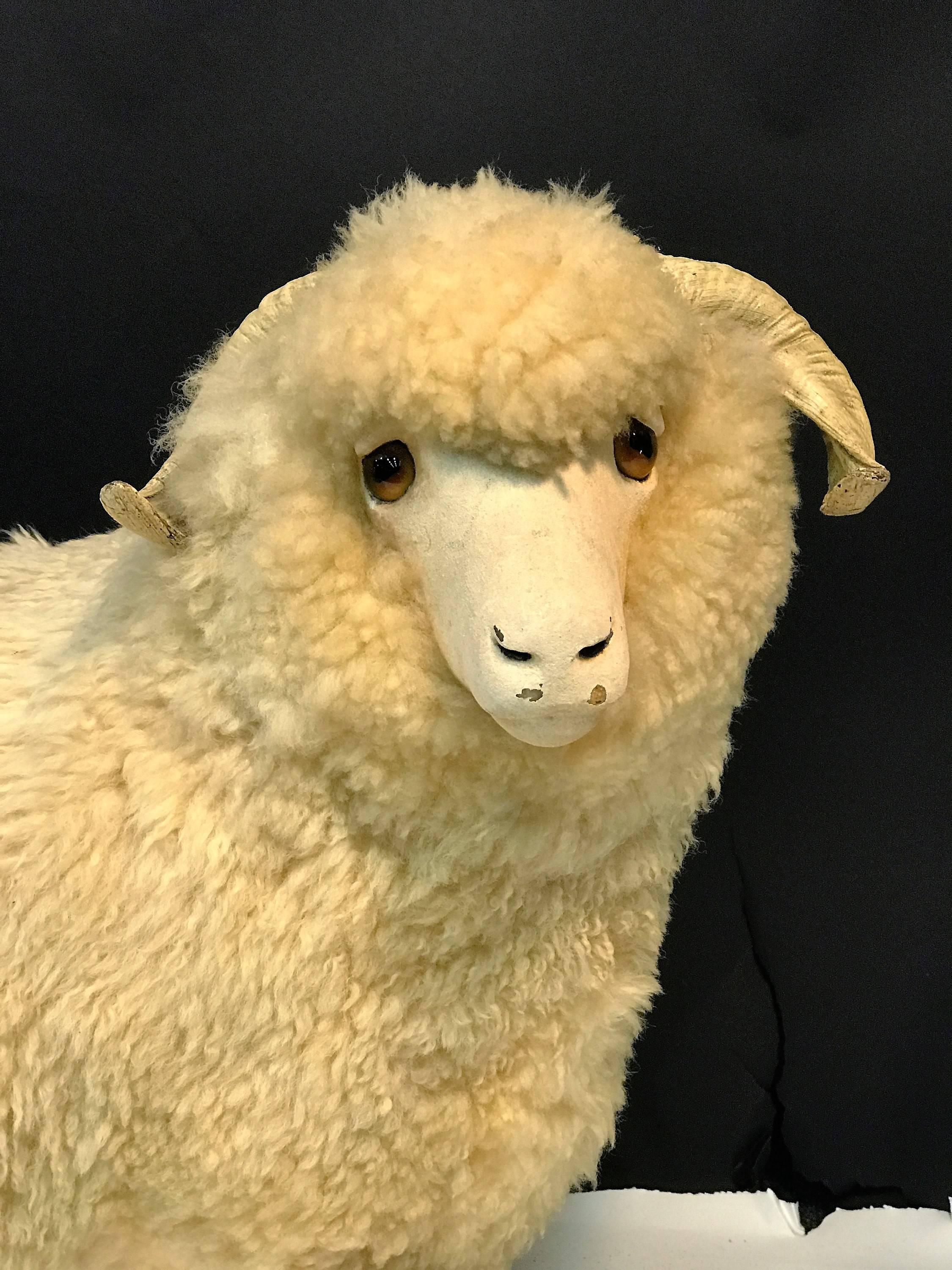 Organic Modern Charismatic Great Natural Wool Ram Sculpture For Sale