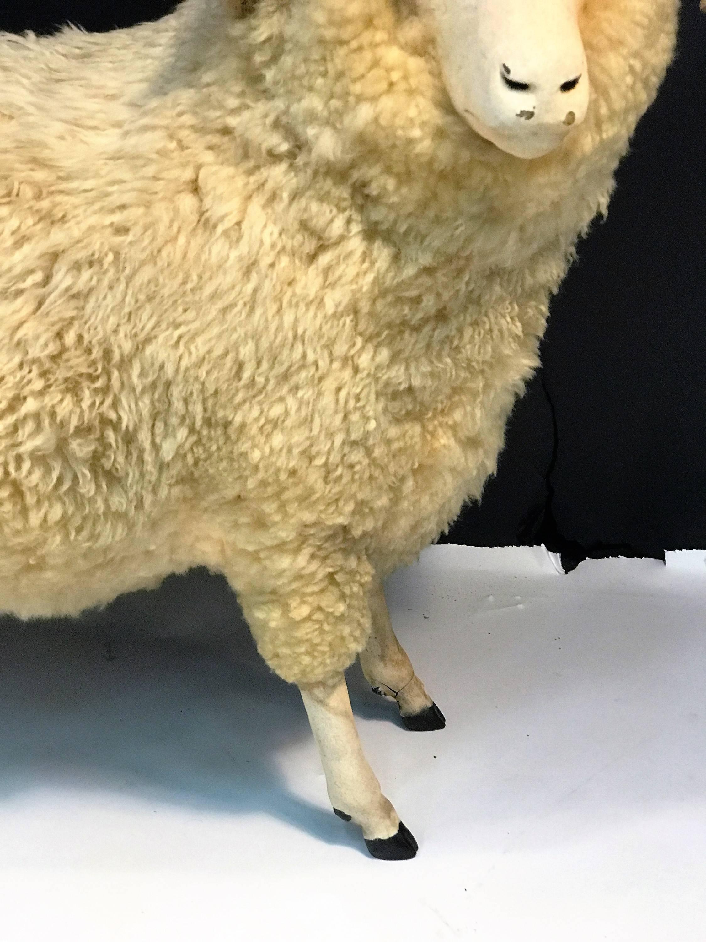 American Charismatic Great Natural Wool Ram Sculpture For Sale