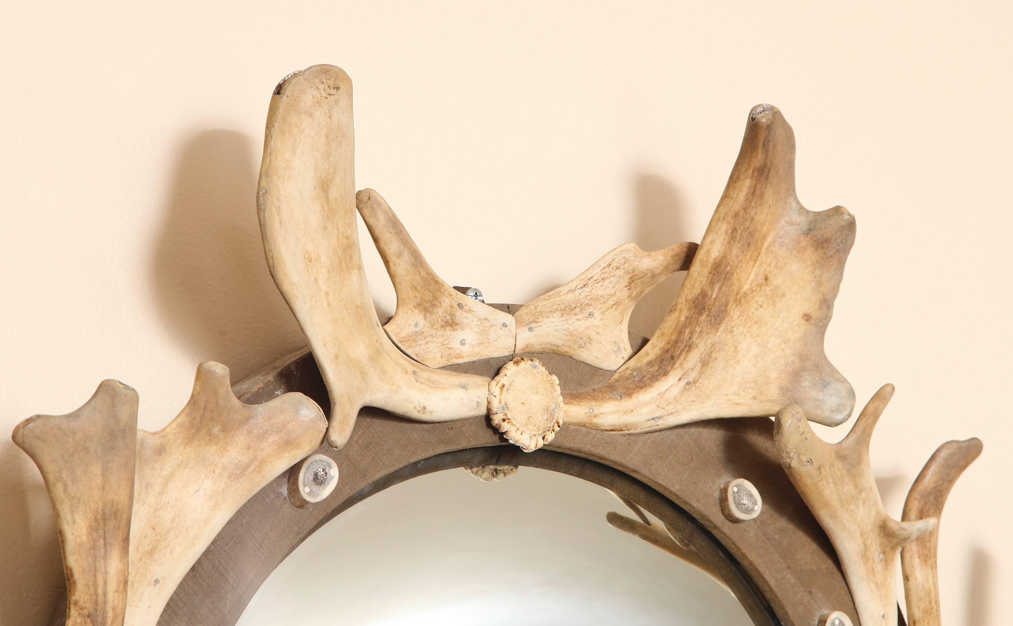 An antler and wood mounted round frame with inset convex mirrored glass.