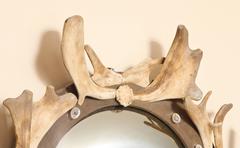 Antler and Wood Mounted Convex Mirror