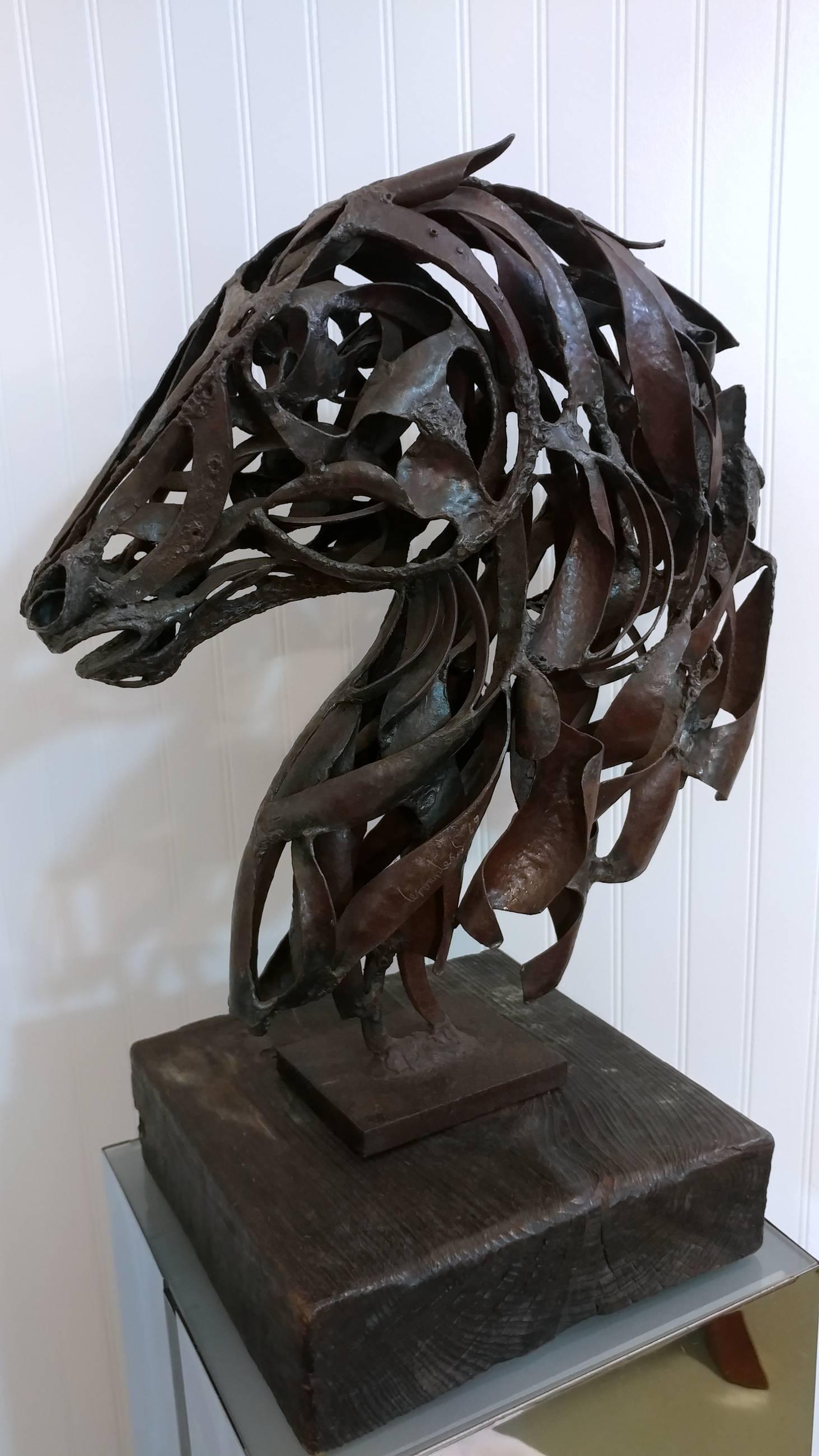An early work by artist Pedro Miguel de Cervantes Salvadores. Since childhood he has been fascinaed by horses. This horse bust sculpture is a fine example and displays lively energy from any angle, masterfully crafted in wrought iron on solid wood