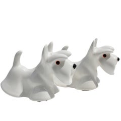 Blue Witch Salt and Pepper Set Unique Gifts for Terriers Lovers