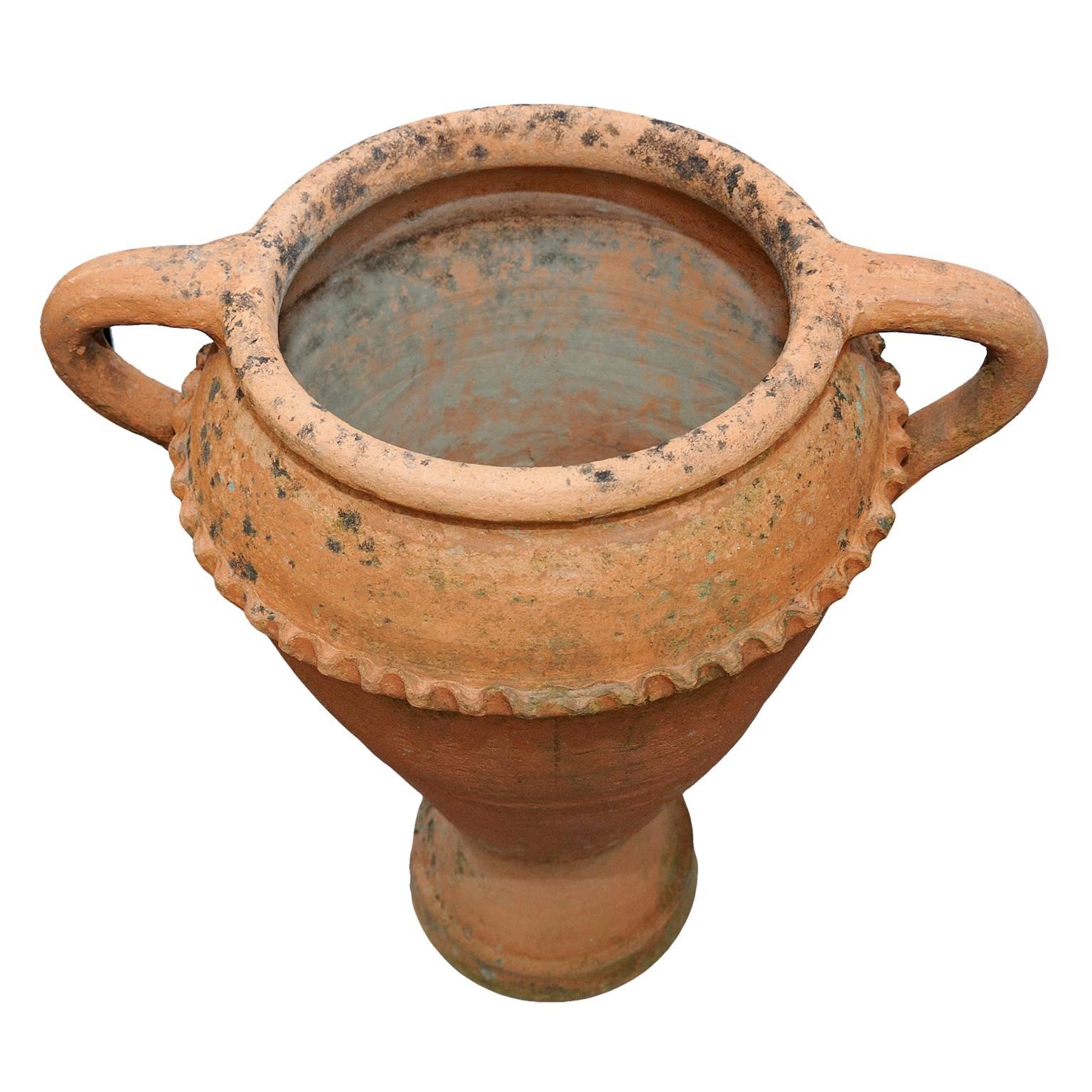 This is a large and quite beautiful late 19th century Greco/Roman style Terracotta Olive Jar. It could potentially be converted into a very stylish lamp, circa 1880.