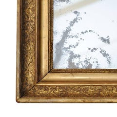 Large French Empire Napoleonic Period, Gilt Pier Glass Mirror, circa 1820