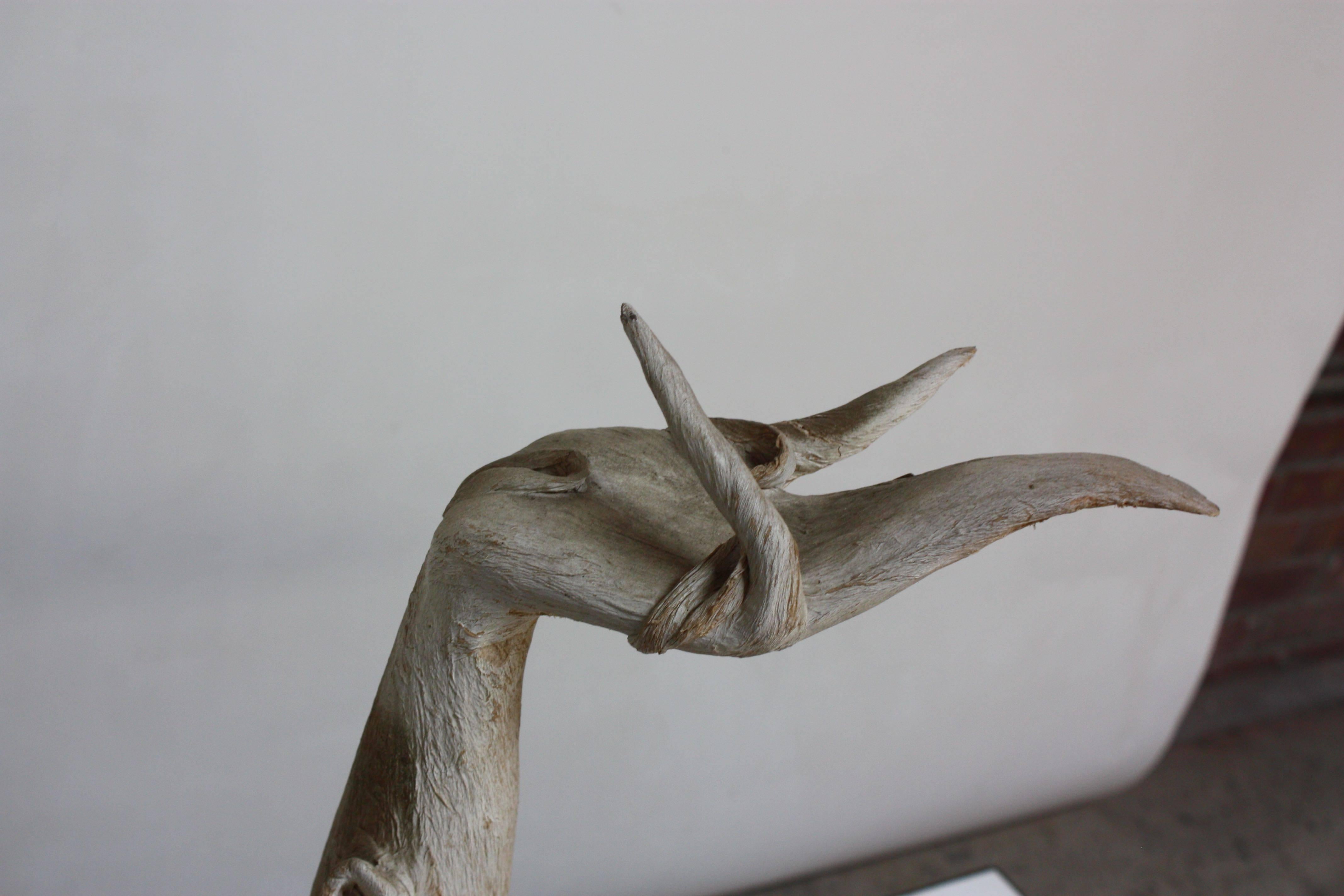 Late 20th Century Petrified and Painted Tree Branch 'Hand' Sculpture on Board