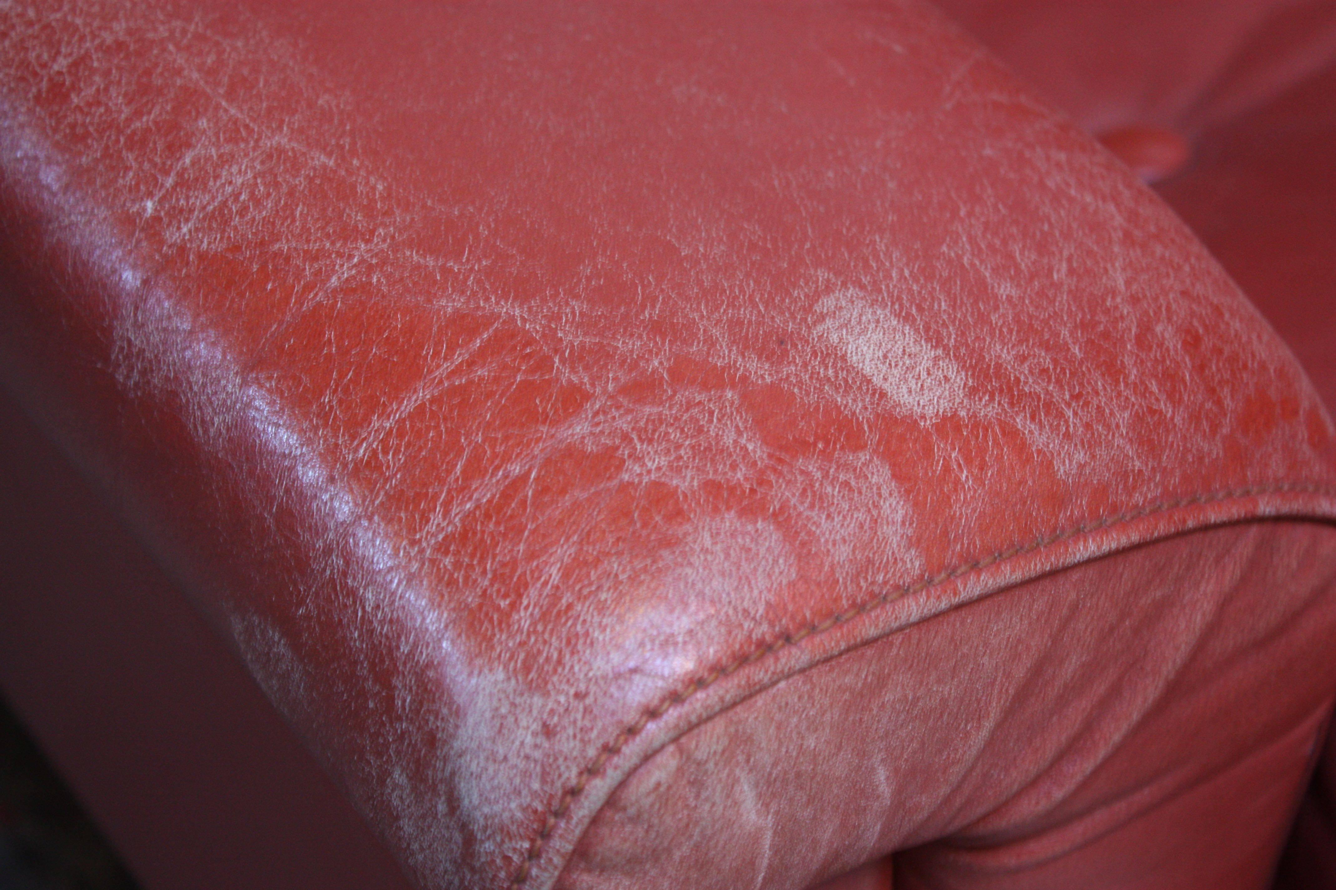 Stained Danish Modern Loveseat in Coral Leather